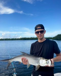 Tarpon fishing in PR