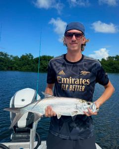 Tarpon fishing in PR