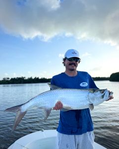 Tarpon fishing in San Juan