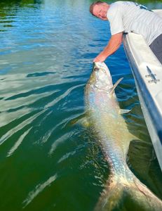 Tarpon fishing in San Juan
