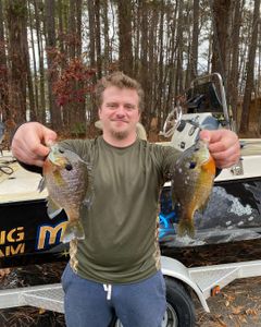 Two fish being caught while fishing in Cartersville