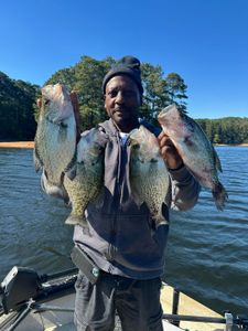 Four crappie fish caught in GA