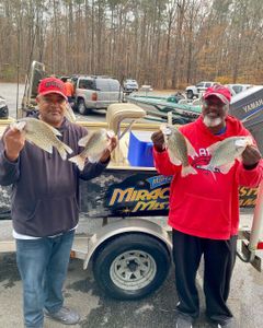 Lake Allatoona guided fishing