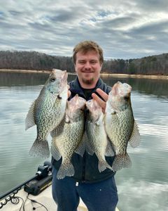 Lake Allatoona Fishing Charters
