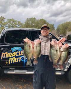 Georgia's crappie triumphs celebrated