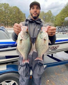 Georgia's crappie legacy preserved
