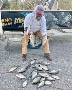 Georgia's crappie: angler's delight