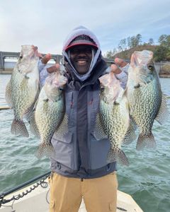 Crappie fishing in Georgia