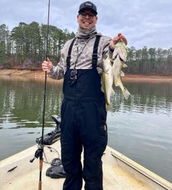 Lake Allatoona Fish Species