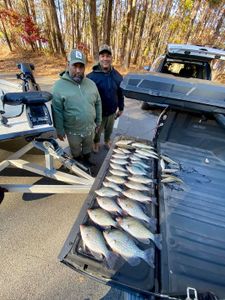Georgia's finest crappie haul