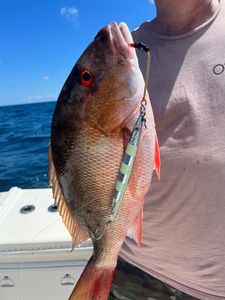 Deep sea fishing for Snapper