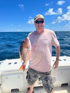 Mutton Snapper fish caught in Boca Raton