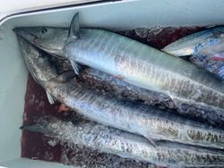 Boca Raton fishing adventure