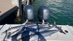 Fishing in FL