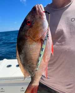 Fishing in Boca Raton