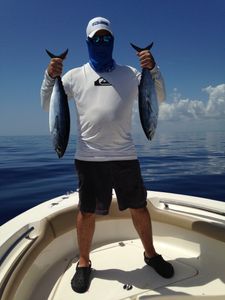 Two 15-inch fish caught while fishing in FL