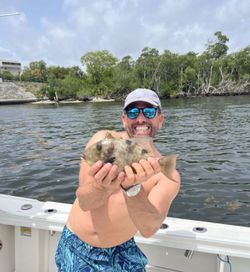 A lone fisherman in FL landing a great catch