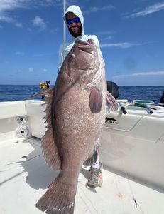 Angler fishing in Florida