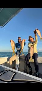 3 hooked big fish caught in FL