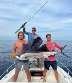 Angler holding a large Atlantic Sailfish, Key West