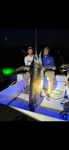 Massive blue marlin catch in Key West