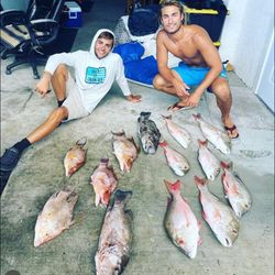 11 Crevalle Jack fish caught while fishing in FL