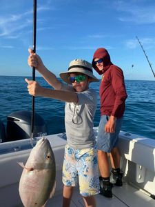 Mutton Snapper, 15-inch fish, fishing in FL