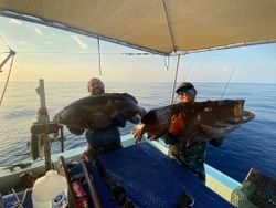 Two people fishing with big fish catch in Florida