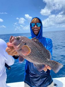 Fish with Capt Zane G.