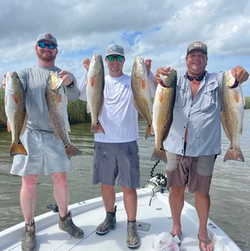 6 fish caught during a fishing trip in Port Sulphur