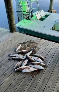 Best fishing adventure in LA