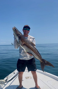 Cobia fishing catch in LA