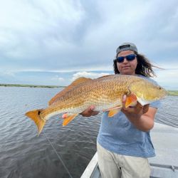 Redfish caught in Port Sulphur