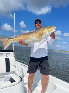 Redfish caught in LA while fishing