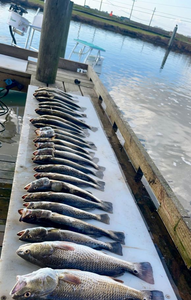 One redfish caught in LA