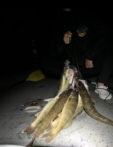 Two fish caught in Minnesota while fishing