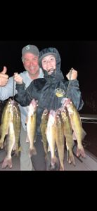 7 blue runner fish caught at Ottertail