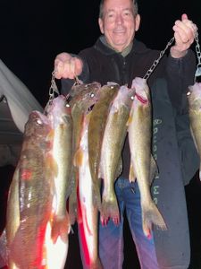 4 big fish caught while fishing in Ottertail