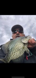 Crappie fish caught while fishing in Minnesota