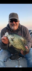 Crappie fish caught in Ottertail