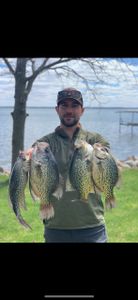 3 crappie fish caught at Ottertail