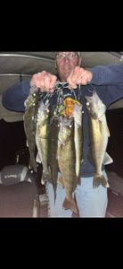 3 fishing in Ottertail