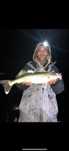 One person fishing in Ottertail