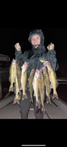 4 fish caught while fishing in MN