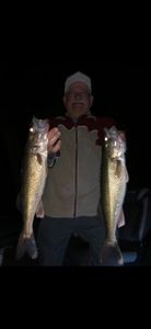 Two walleye, 27 inch fish, caught fishing in Minnesota