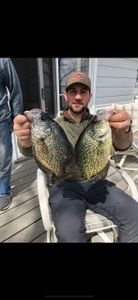 Two crappie fish caught in Ottertail, Minnesota