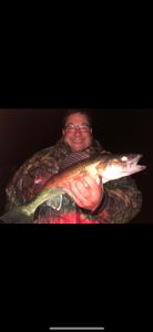 Walleye fish caught in Ottertail