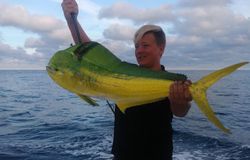 Daytona's Mahi Mahi Magic