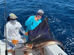 Photo of an Atlantic Sailfish caught while fishing in FL
