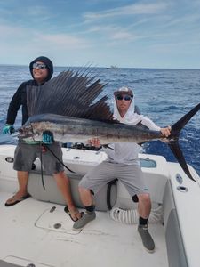 Atlantic Sailfish caught by two people in FL